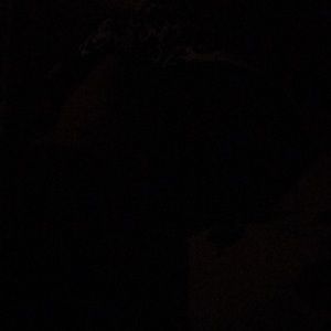 Meet your Posher, Will